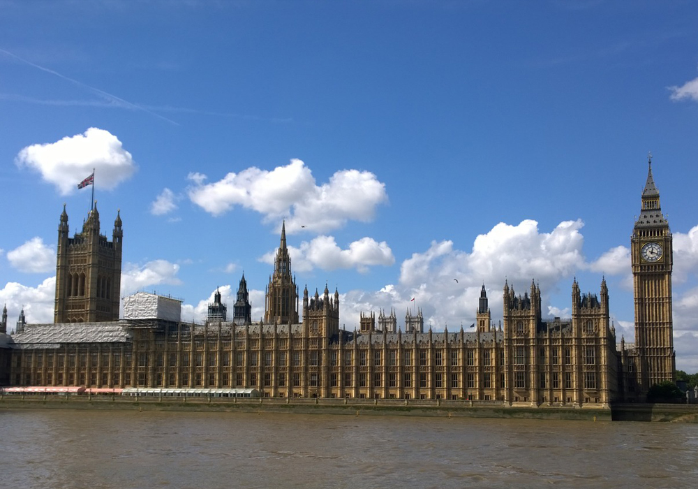 Regulation and Policy